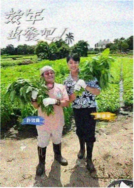 天空影视 综艺 手艺人的一天 主视觉图
